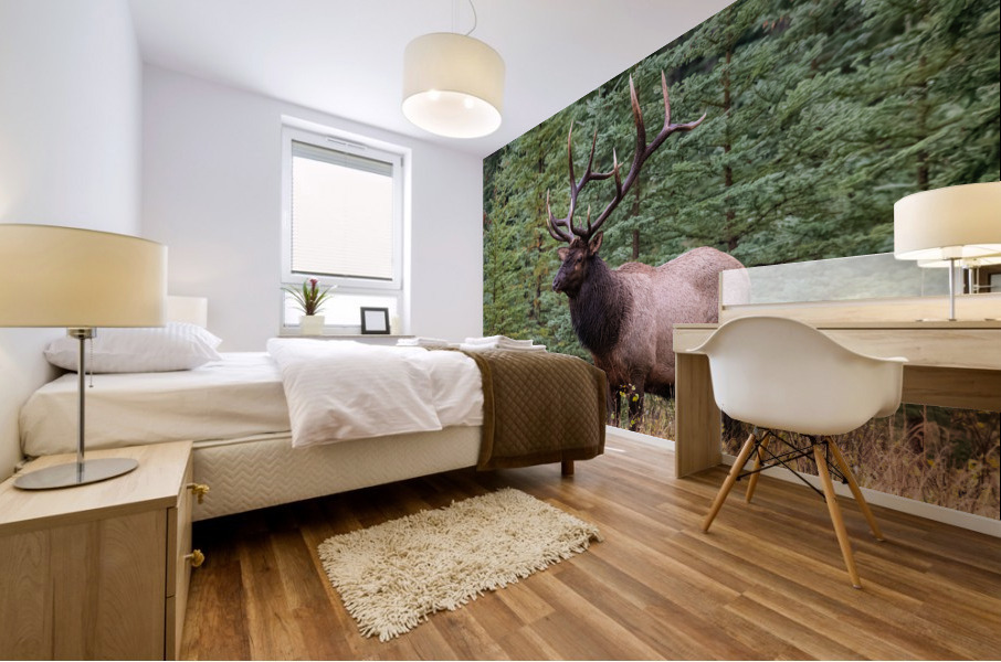 Bull Elk Mural print