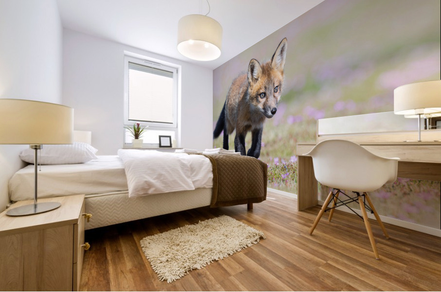Red Fox Kit Mural print
