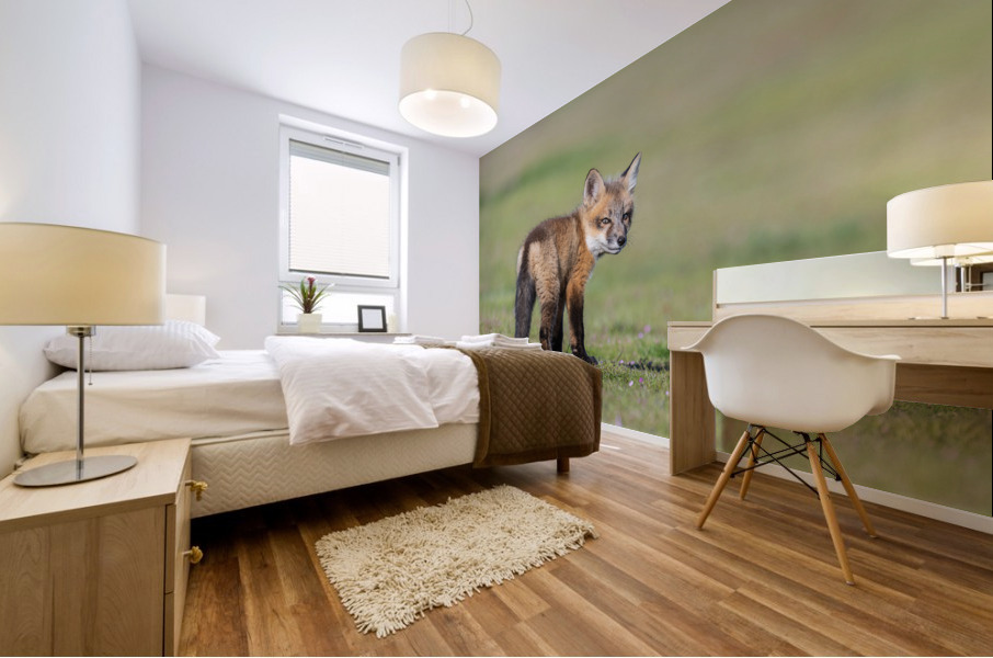 Red Fox Kit Mural print