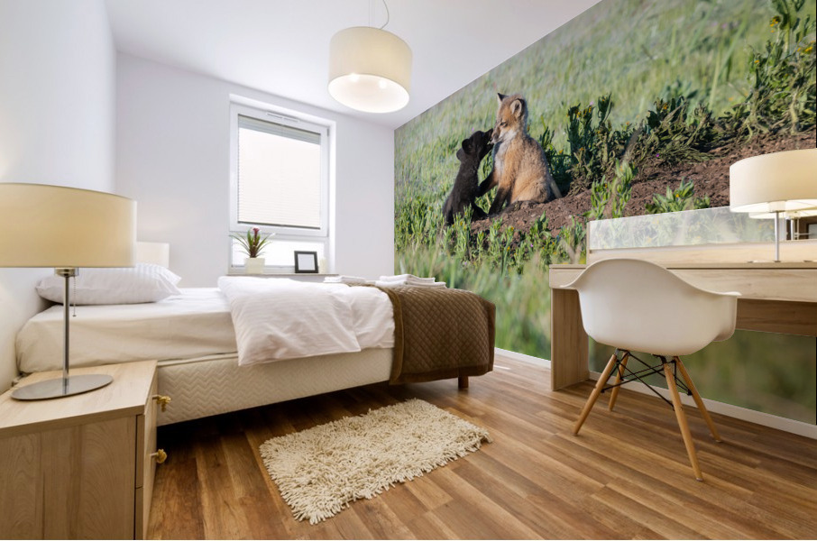 Red Fox Kits Mural print