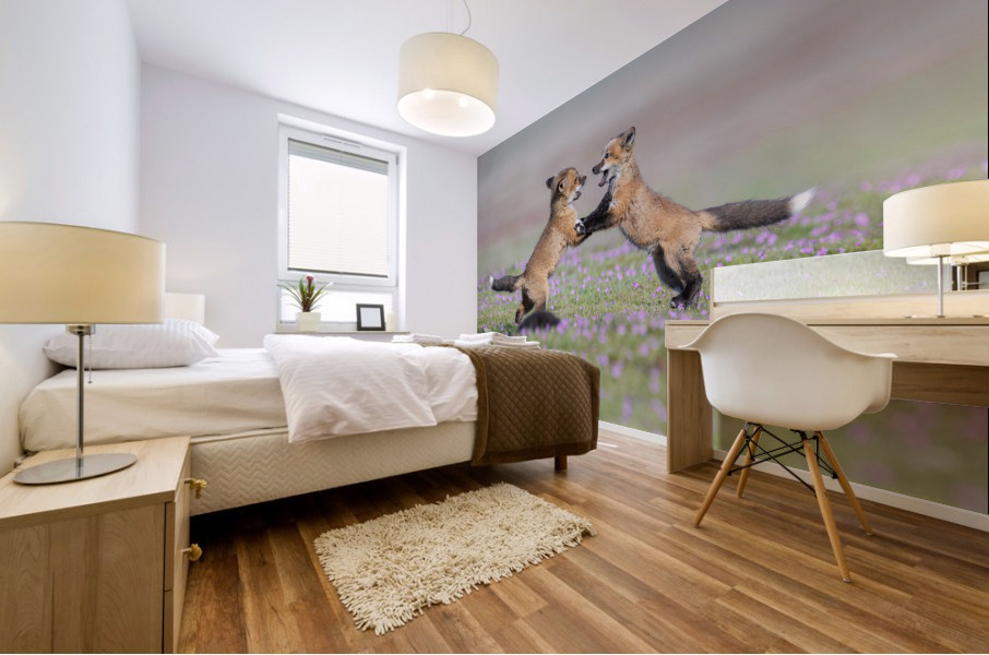Red Fox Kits Mural print