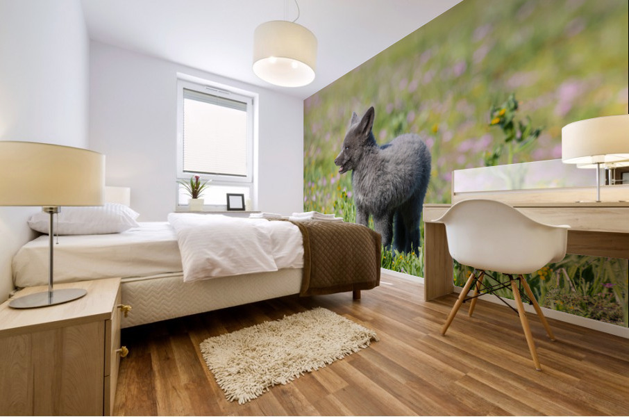 Red Fox Kit Mural print