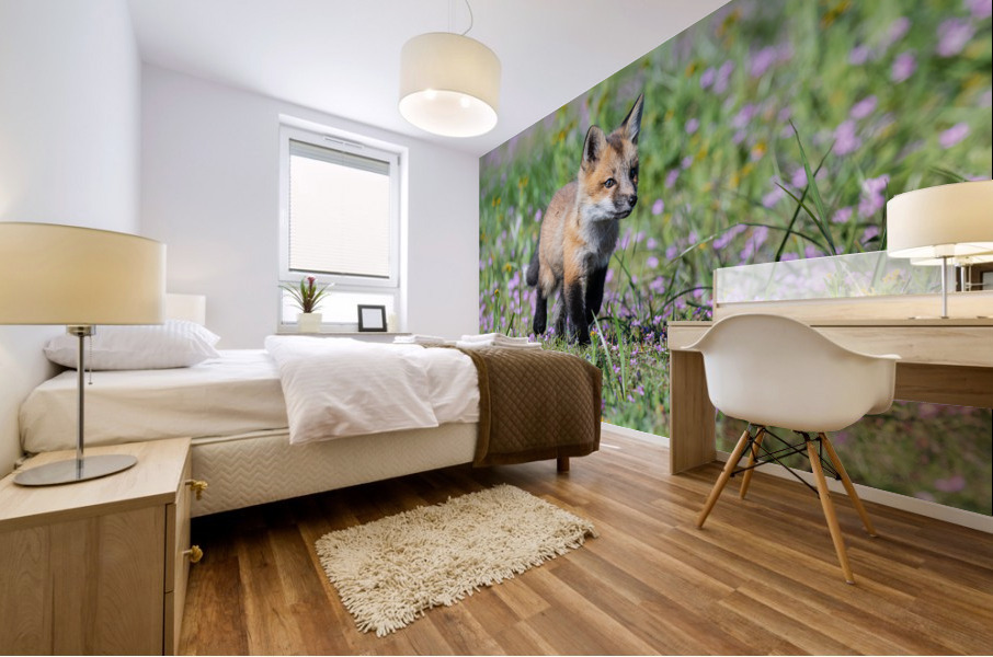 Red Fox Kit Mural print