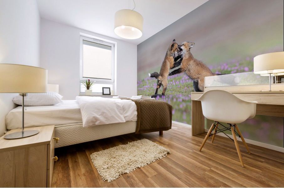 Red Fox Kits Mural print