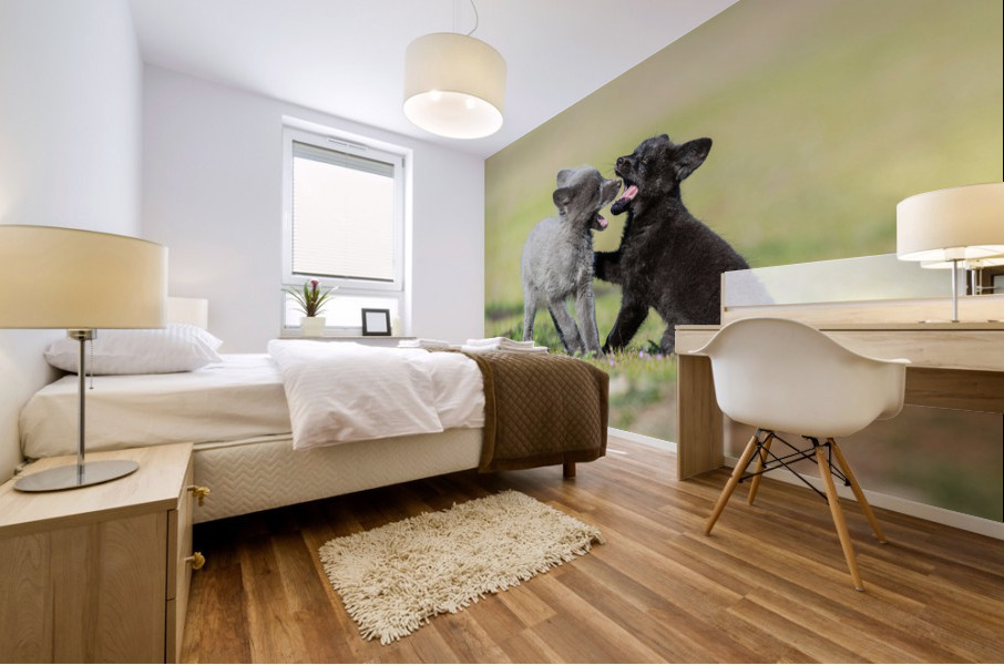 Red Fox Kits Mural print