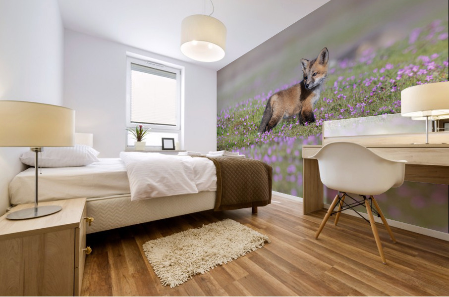 Red Fox Kit Mural print