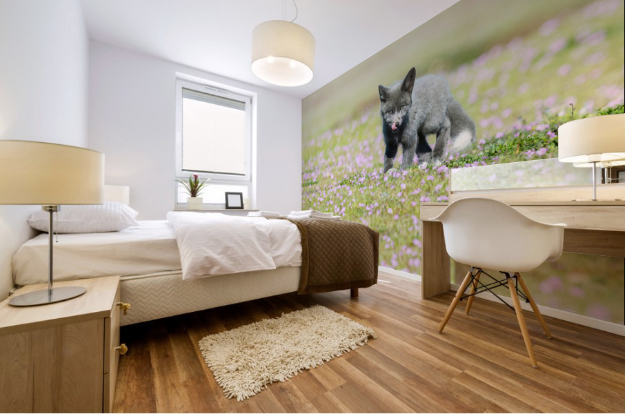 Red Fox Kit Mural print