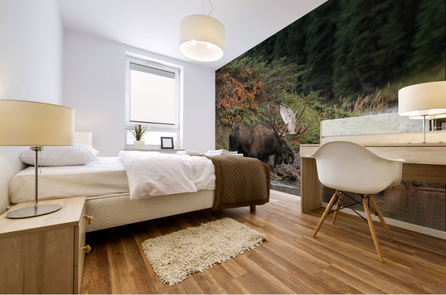 Bull Moose Mural print