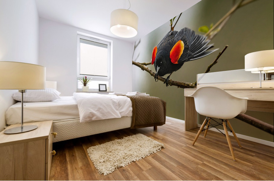 Male Red-Winged Blackbird Mural print