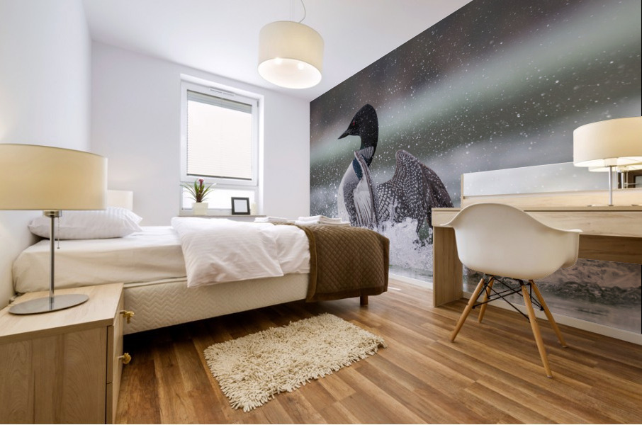 Common Loon Mural print