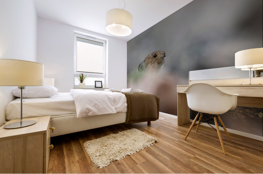 American Pika Mural print