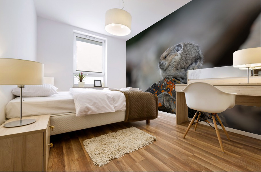 American Pika Mural print