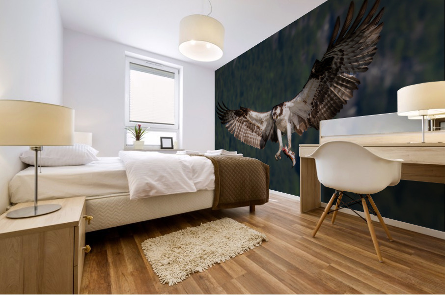 Osprey Mural print