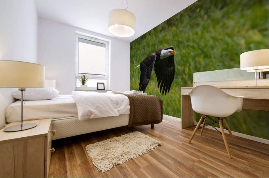 Bald Eagle Mural print