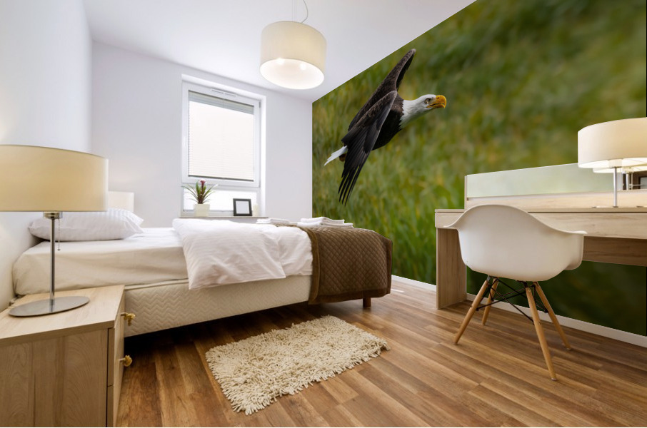 Bald Eagle Mural print