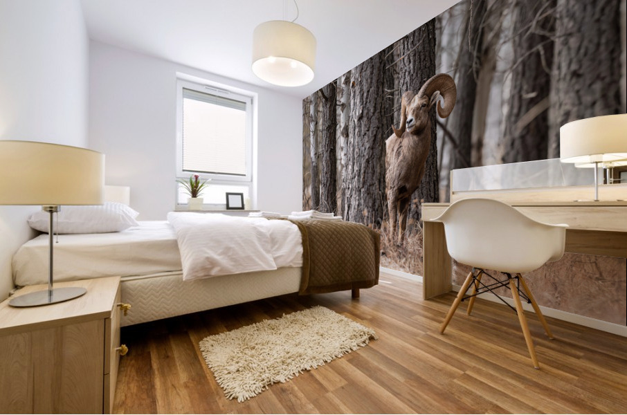 Bighorn Ram Mural print