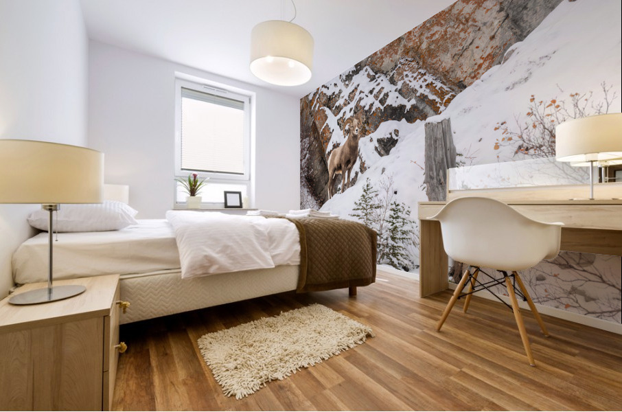 Bighorn Ram Mural print