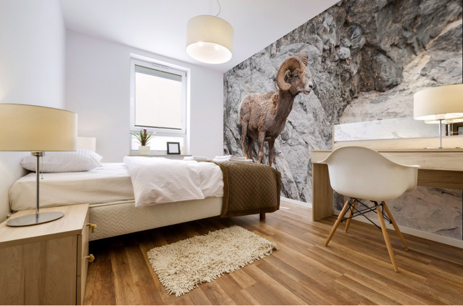 Bighorn Ram Mural print