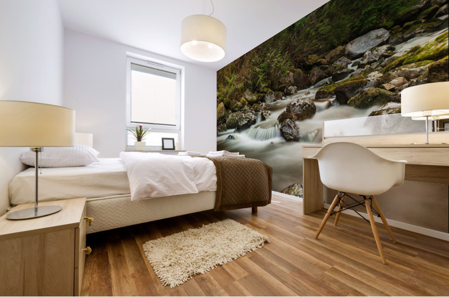 Forest Stream Mural print