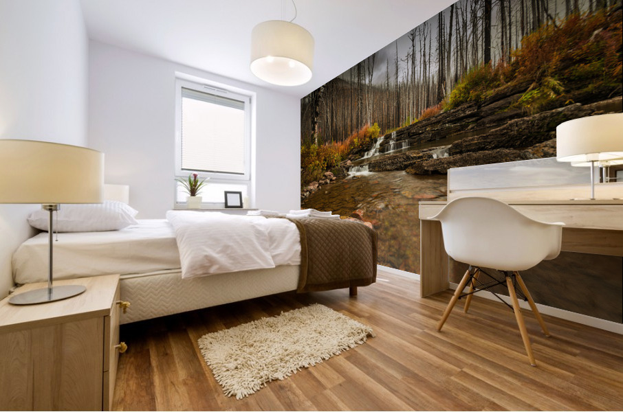 Mountain Stream Mural print