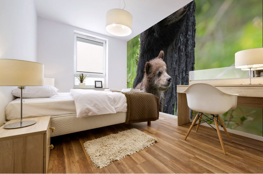 Grizzly Cubs Mural print
