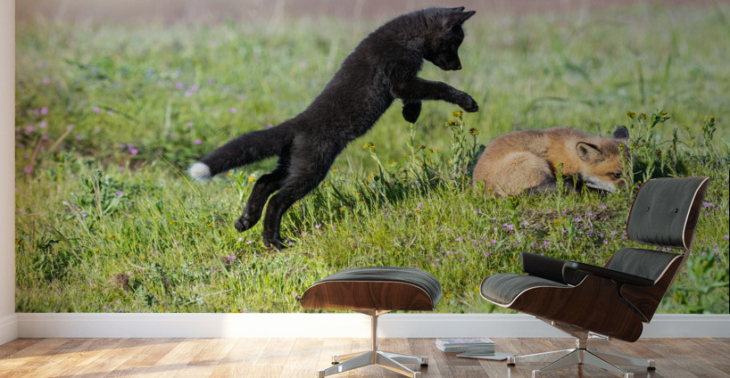 Red Fox Kits Wall Murals