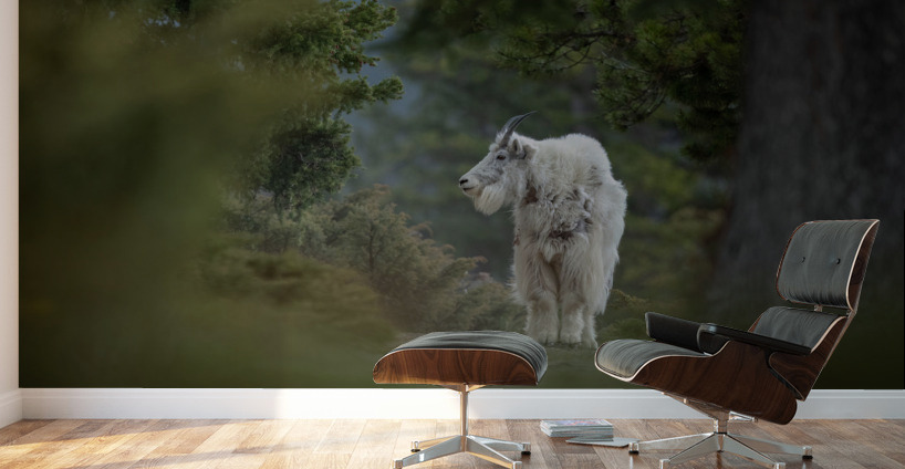 Mountain Goat Wall Murals