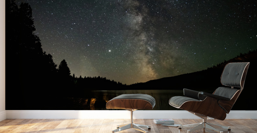 Milkyway Wall Murals