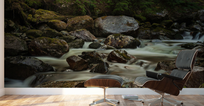 Forest Stream Wall Murals