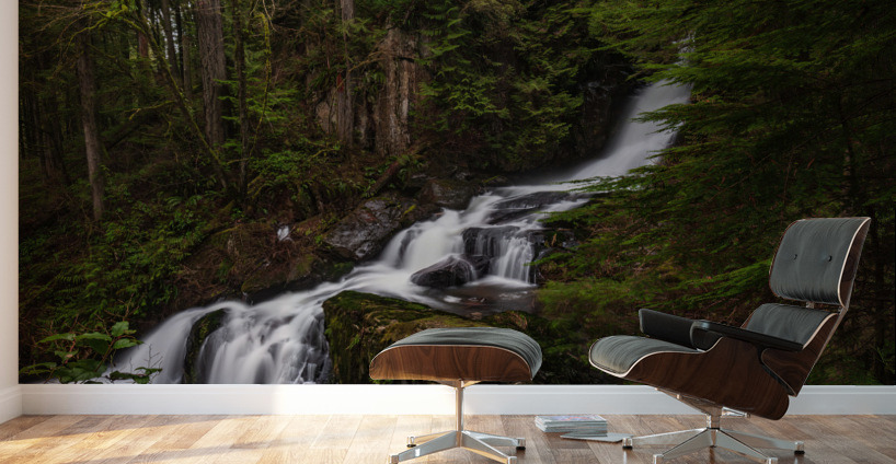 Forest Waterfall Wall Murals