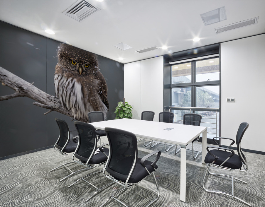 Northern Pygmy Owl Wall Printing