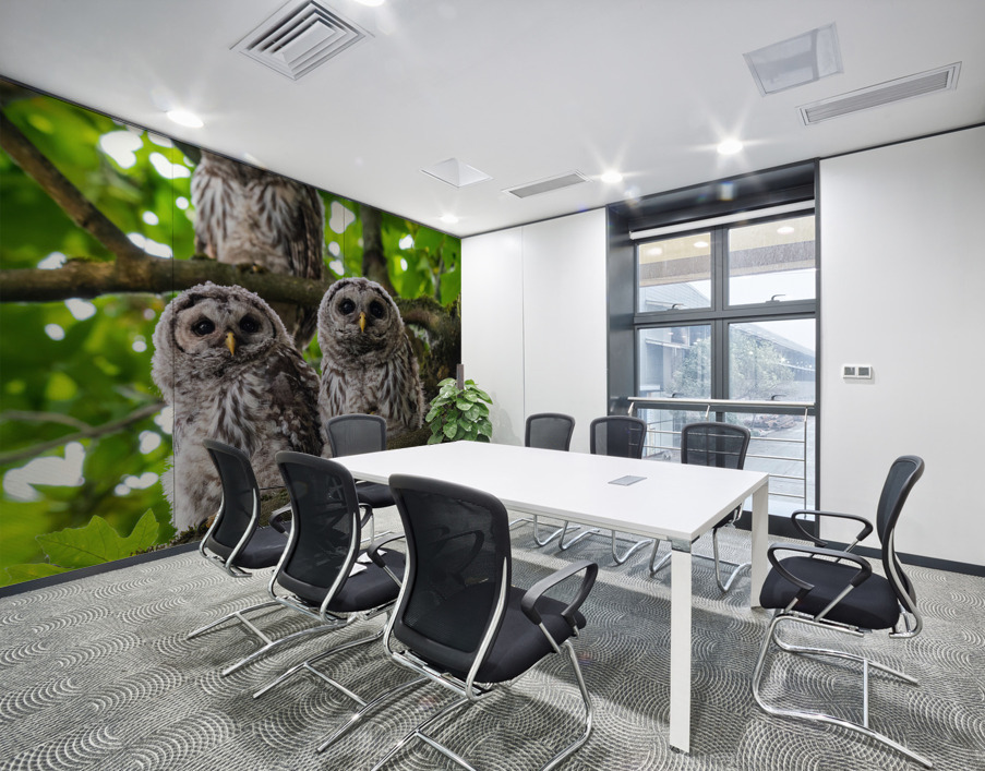 Barred Owlets Wall Printing