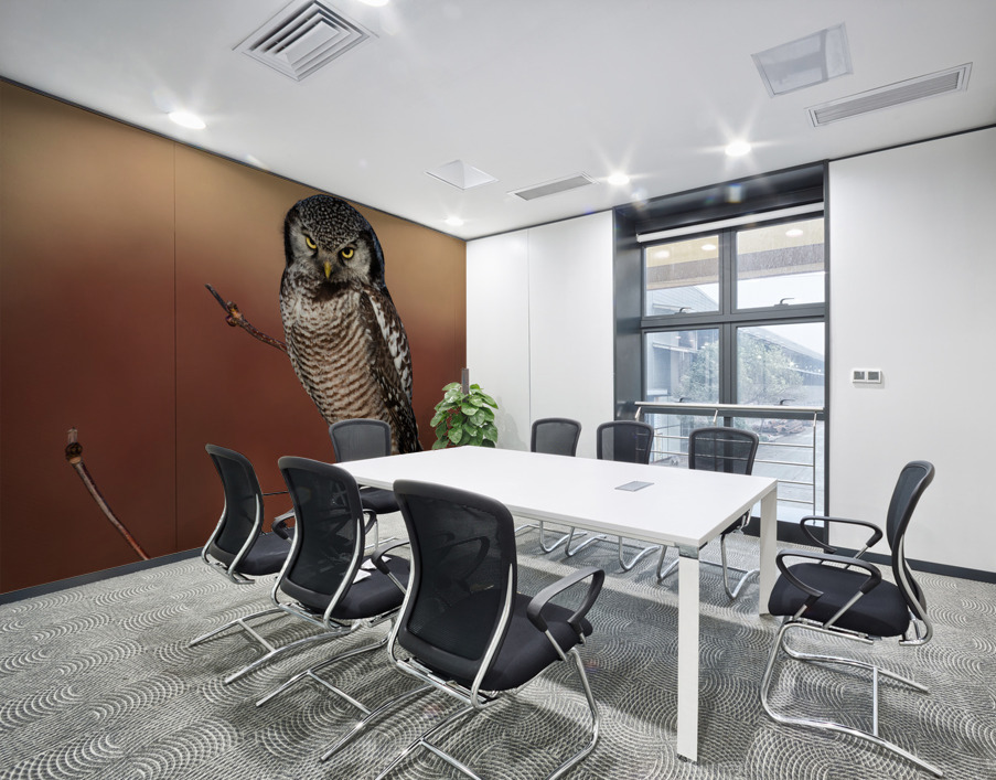 Northern Hawk Owl Wall Printing