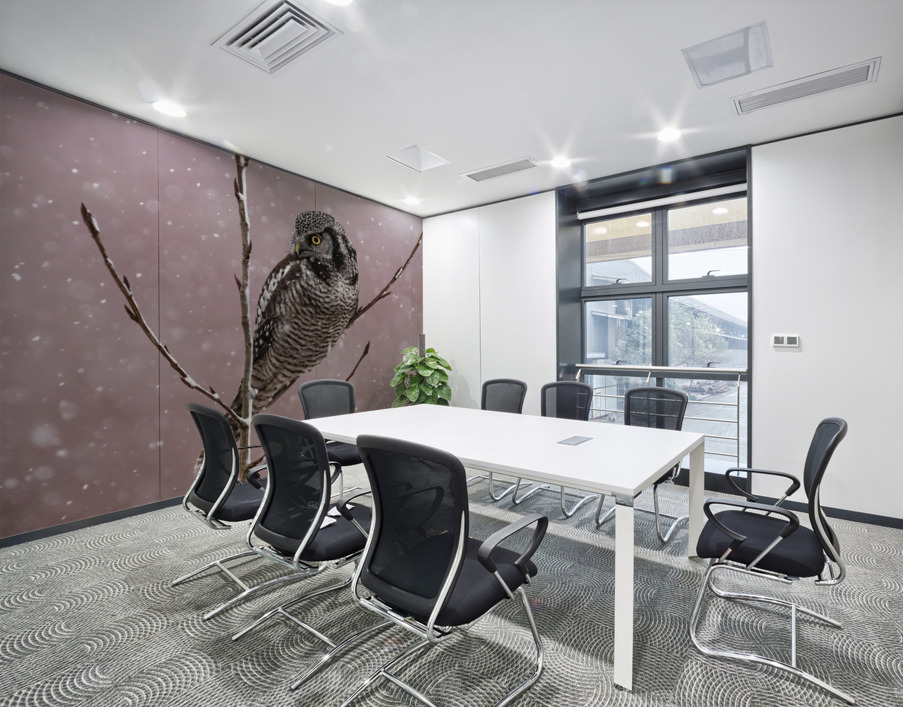 Northern Hawk Owl Wall Printing