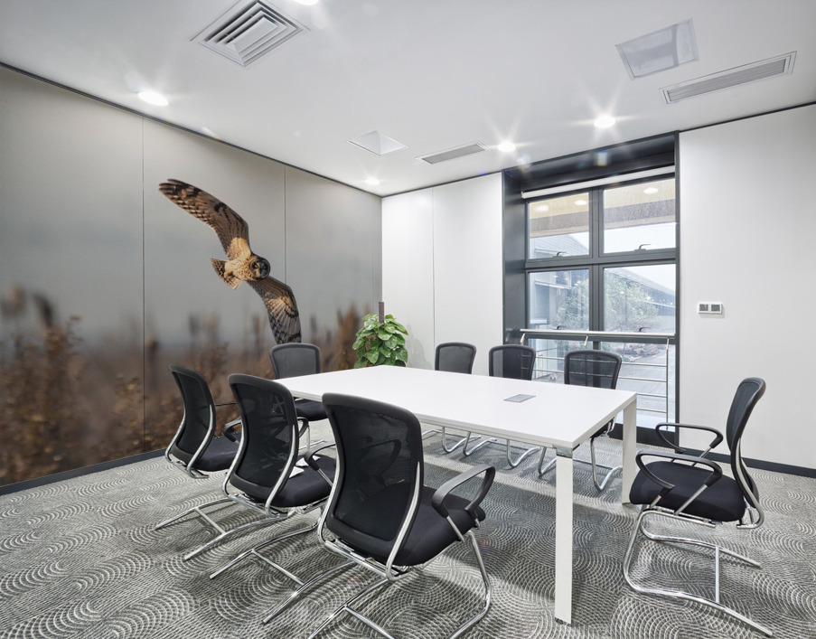 Short-eared Owl Wall Printing