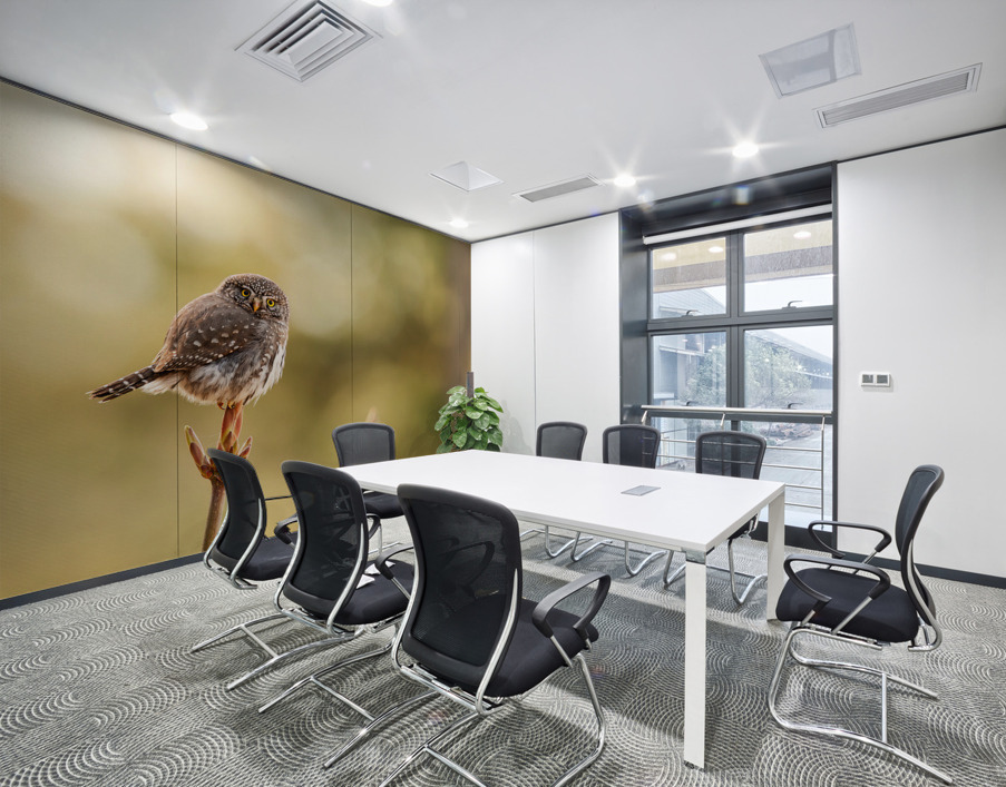Northern Pygmy Owl Wall Printing