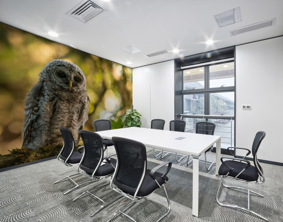 Barred Owl Wall Printing