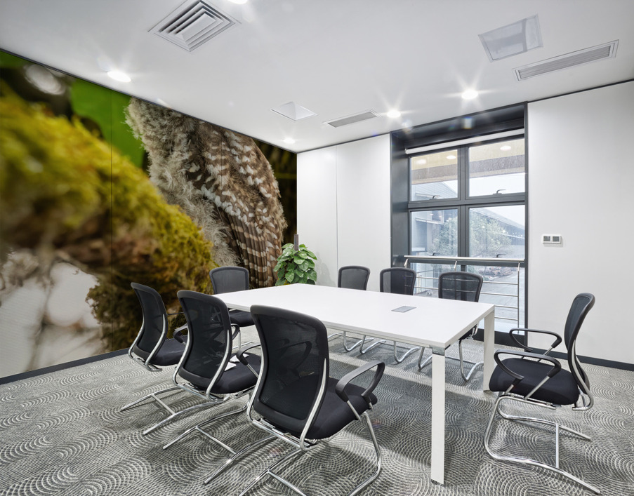 Barred Owlet Wall Printing