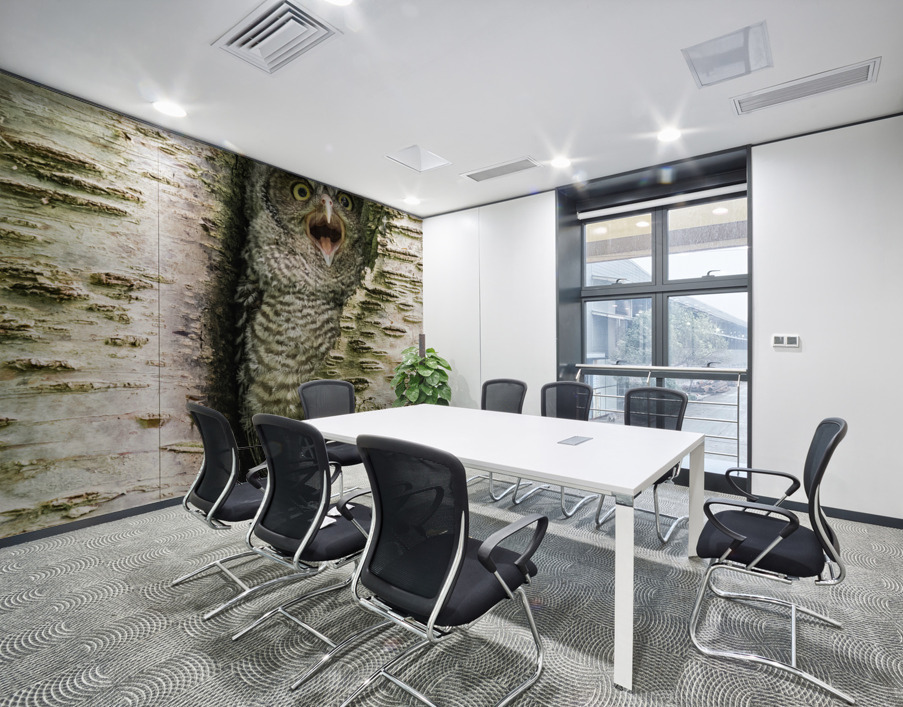 Western Screech Owlet Wall Printing