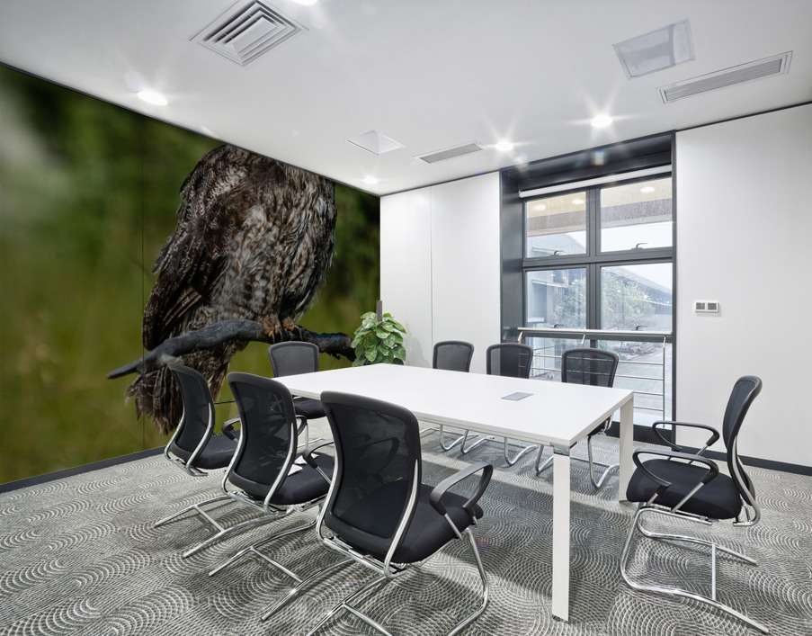 Great Gray Owl Wall Printing