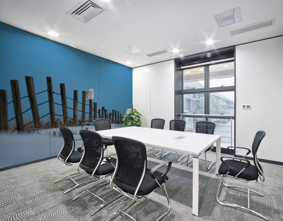 Snowy Owl Wall Printing