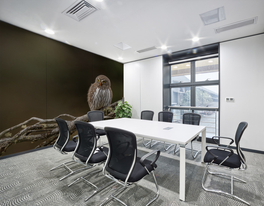 Northern Pygmy Owl Wall Printing