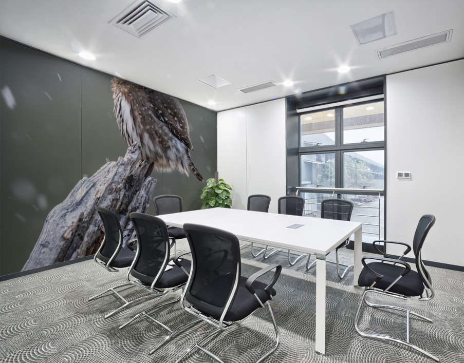 Northern Pygmy Owl Wall Printing