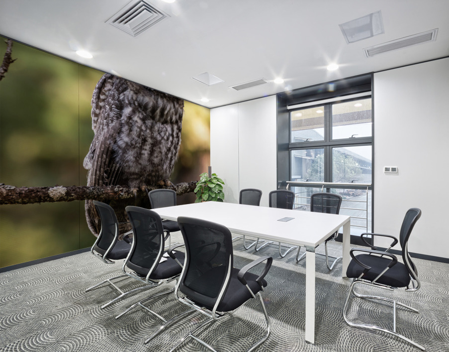 Great Gray Owlet Wall Printing