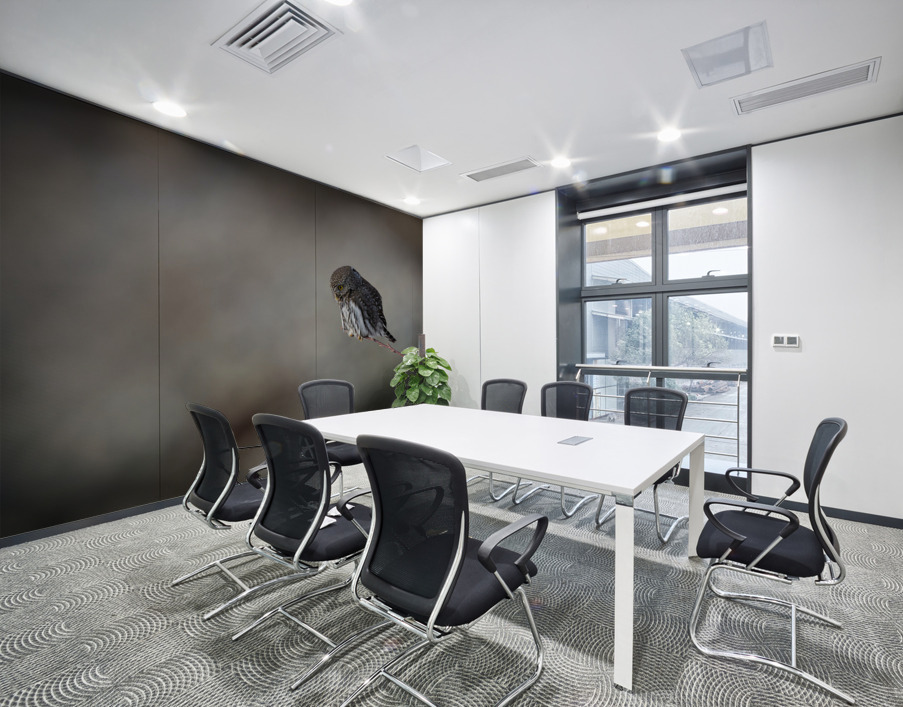 Northern Pygmy Owl Wall Printing