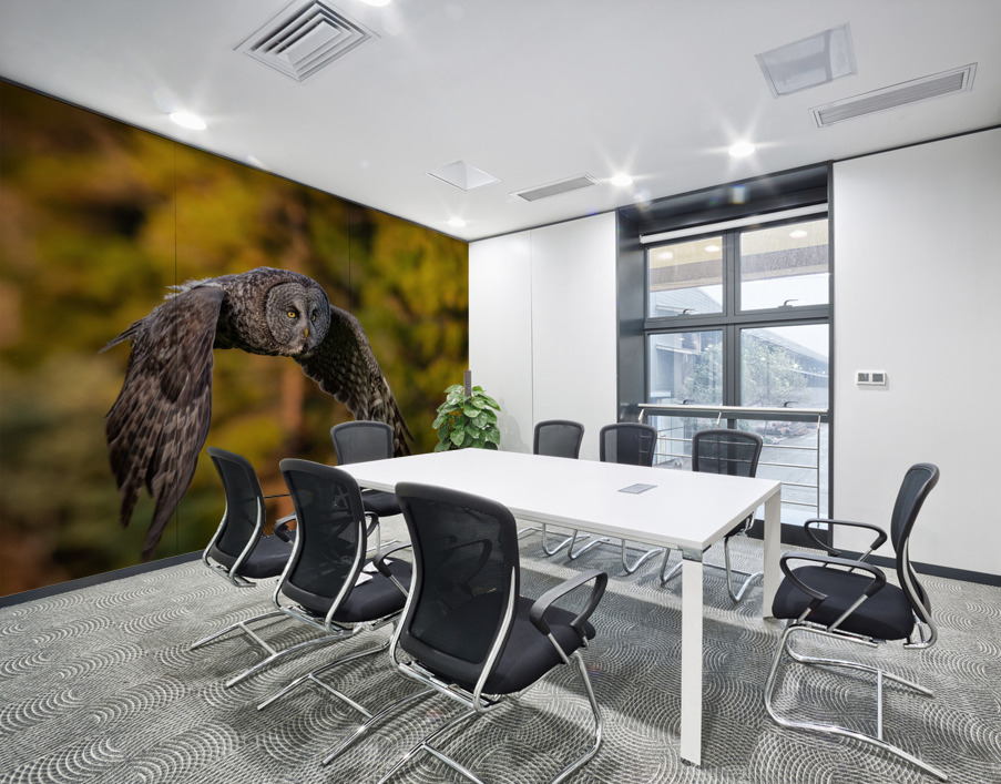 Great Gray Owl Wall Printing