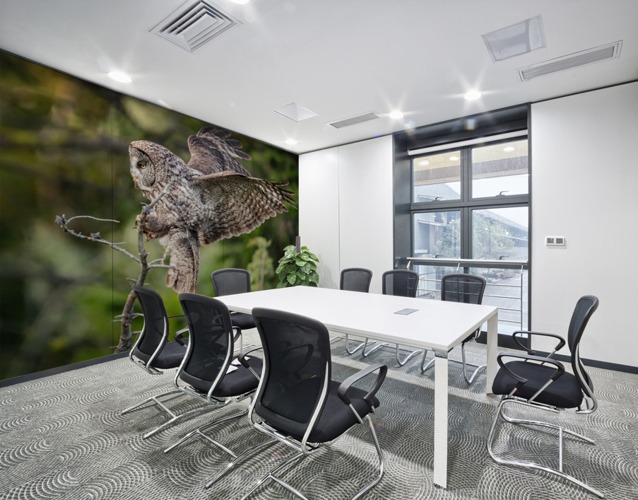 Great Gray Owl Wall Printing
