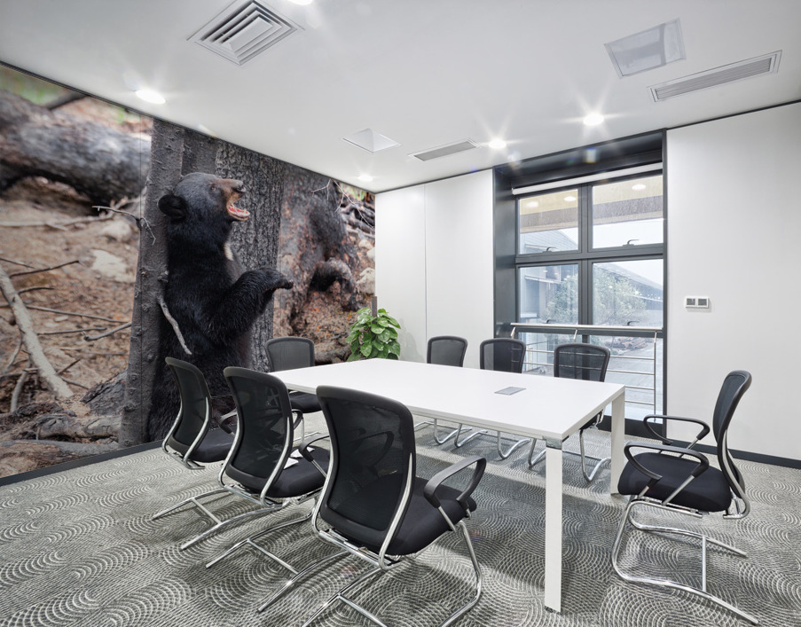 Black Bear Wall Printing