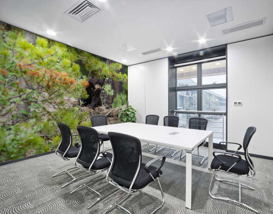 Black Bear Cub Wall Printing