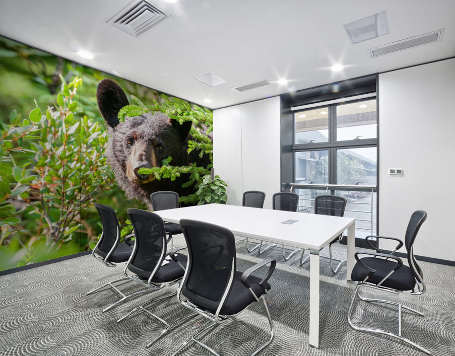 Black Bear Wall Printing